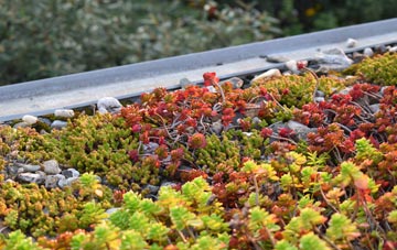 the cost of Shipping green roof installation